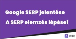 google serp