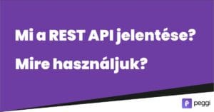 rest api jelentése